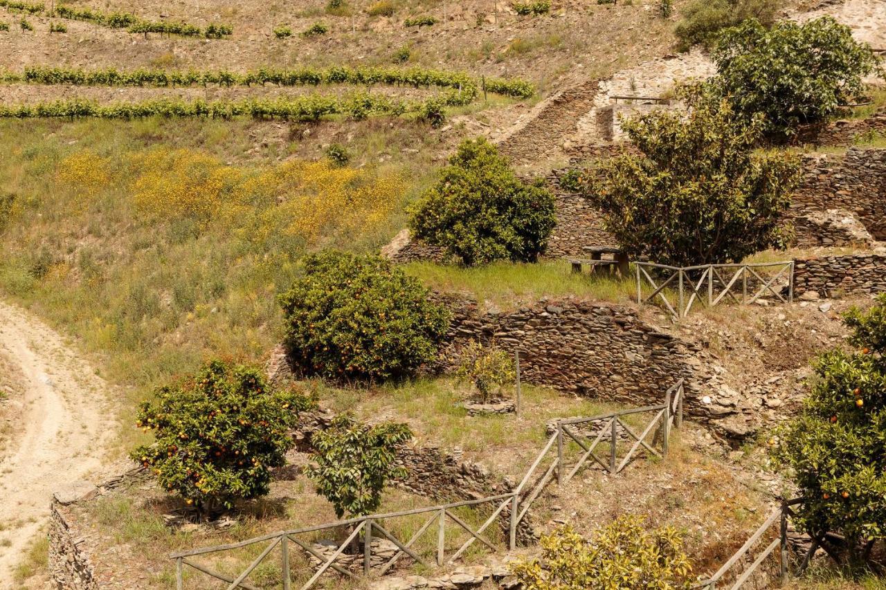 Quinta Nova Winery House - Relais & Chateaux Pinhão Kültér fotó