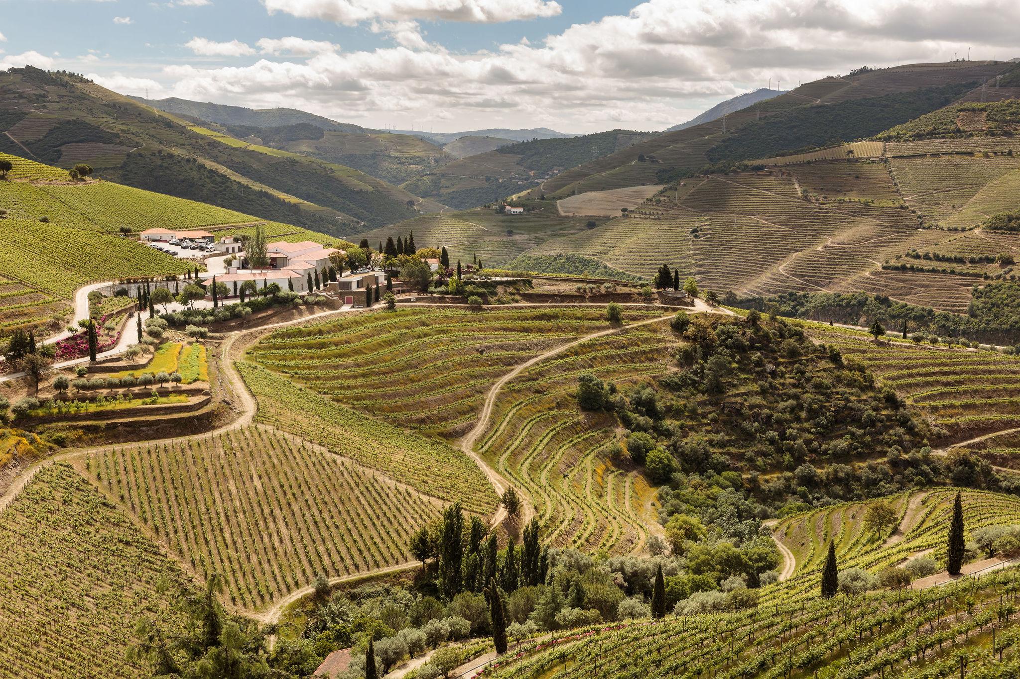 Quinta Nova Winery House - Relais & Chateaux Pinhão Kültér fotó